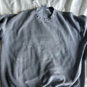 Women Graphic Gray Sweatshirt